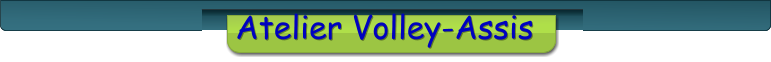 Atelier Volley-Assis